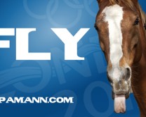 PA-COVER-Olympics-Horse 2