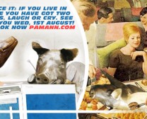 pam-ann-cover-SM-PIGS copy